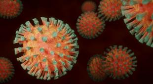 coronavirus