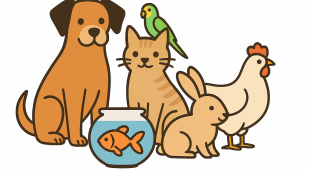 animals