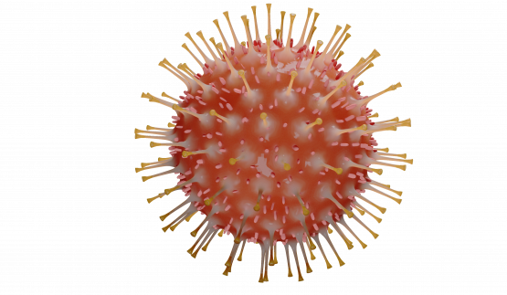 coranavirus