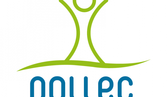 Pollec