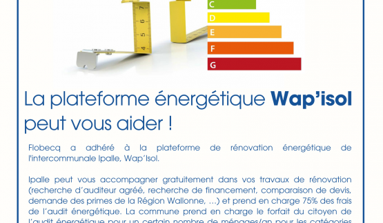 wapisol